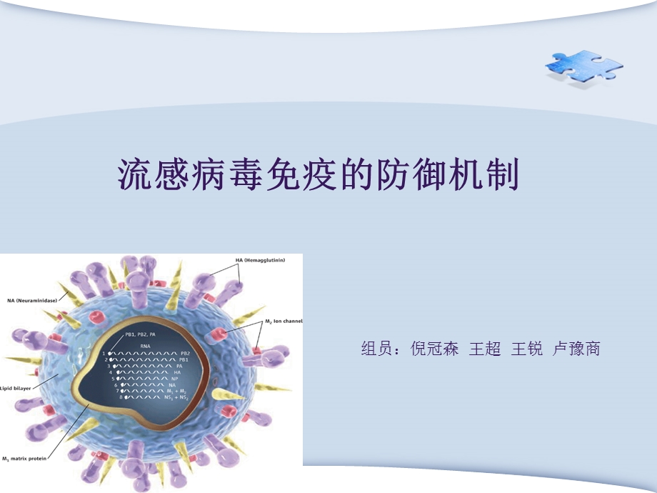 流感病毒免疫的防御机制.ppt_第1页