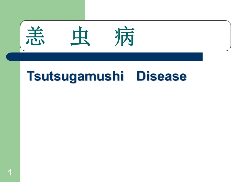 立克次体恙虫病(课件).ppt_第1页