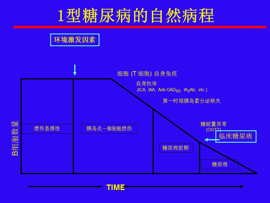 糖尿病的预防.ppt_第3页