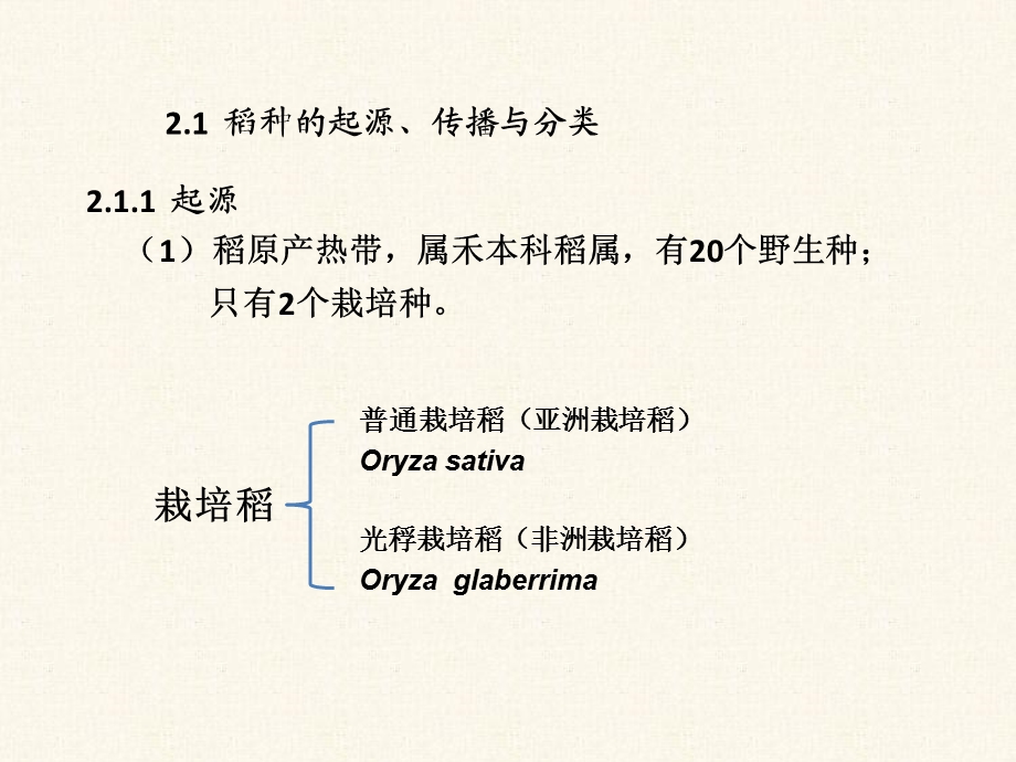 水稻栽培的生物学基础.ppt_第2页