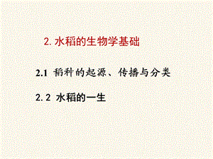 水稻栽培的生物学基础.ppt