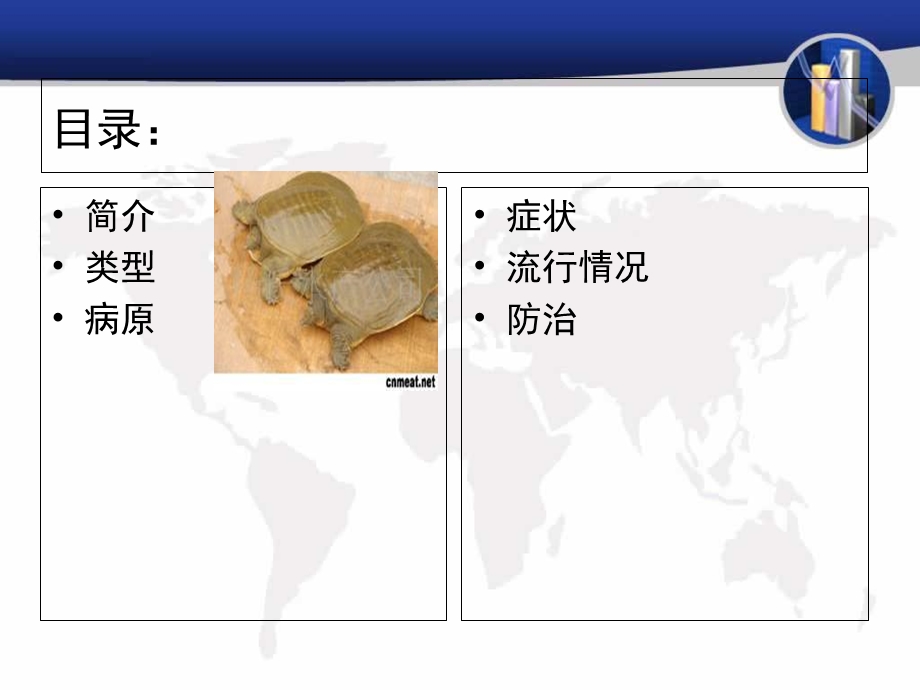 甲鱼腮腺炎病的介绍.ppt_第2页