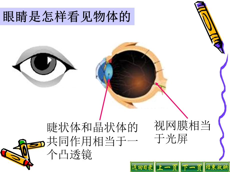 眼镜与光学仪器.ppt_第2页