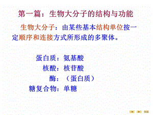 生物化学第01章蛋白质的结构与功能临床5年制第.ppt