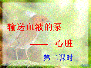 生物四单元四章三节.ppt