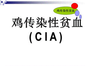 精品课程《禽病学》ppt09鸡传染性贫血.ppt