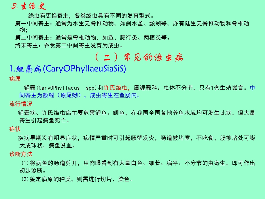 水产病害学第六节寄生蠕虫病.ppt_第2页