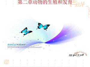 济南版第二章动物的生殖和发育.ppt