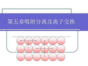 生物分离工程第五章吸附分离及离子交换.ppt