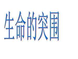 生命的突围-精.ppt