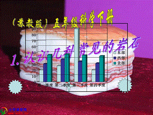 科学下册《认识常见岩石》课件苏教.ppt