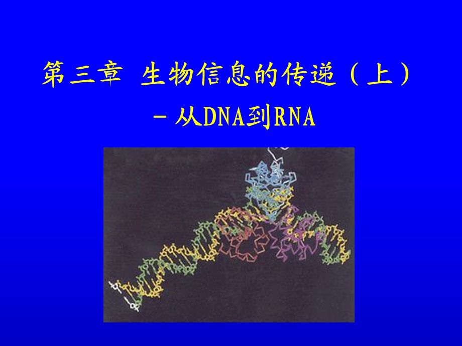 生物化学生物信息的传递上-从DNA到RNA.ppt_第1页