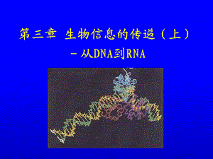 生物化学生物信息的传递上-从DNA到RNA.ppt