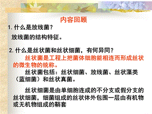 水处理生物学十五.ppt