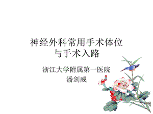 神经外科手术的体位与入路.ppt