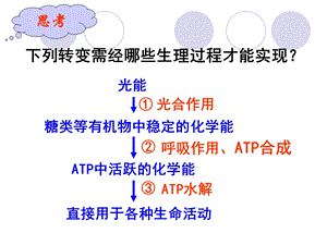 生物必修一第五章捕获光能的色素和结构.ppt