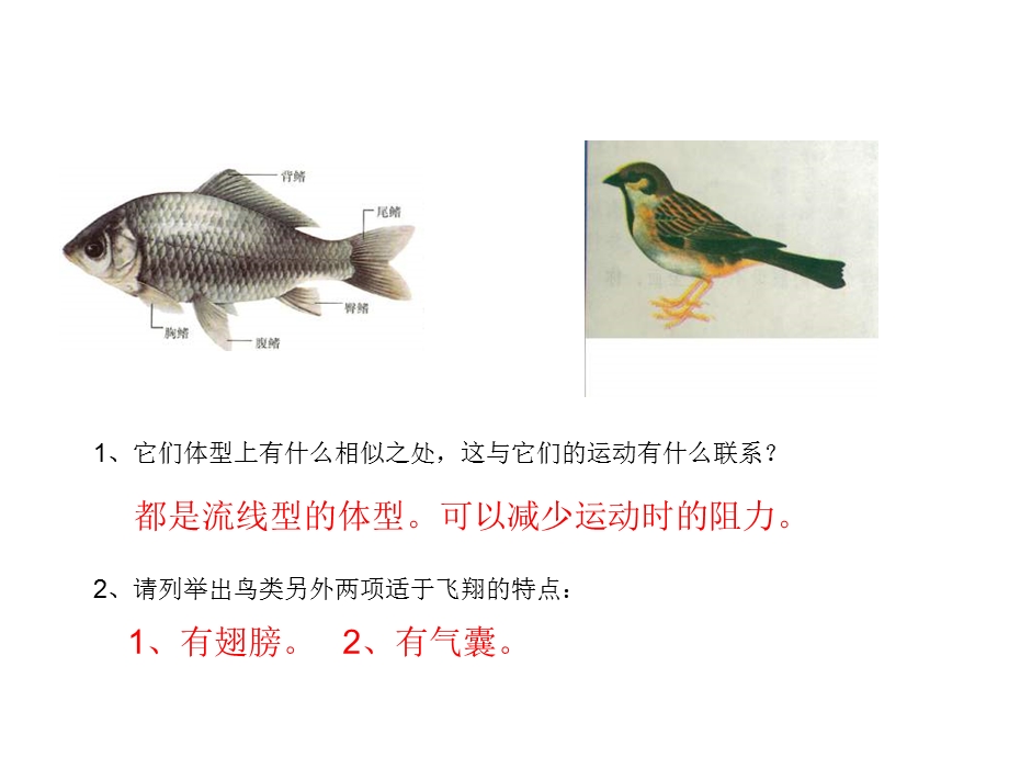 生物各种环境里的动物.ppt_第3页