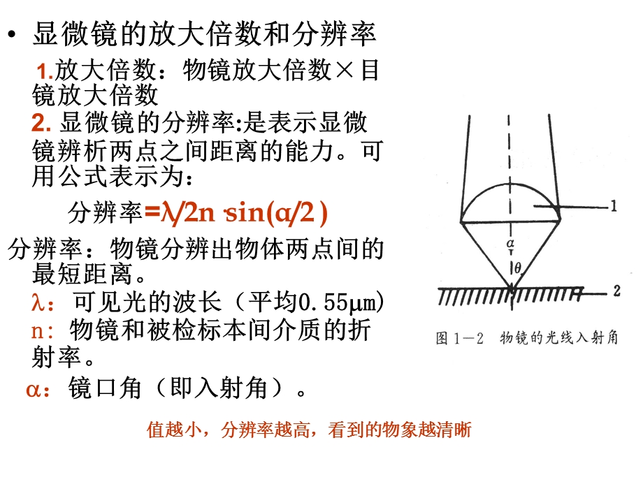 油镜的使用和细菌三型的观.ppt_第2页