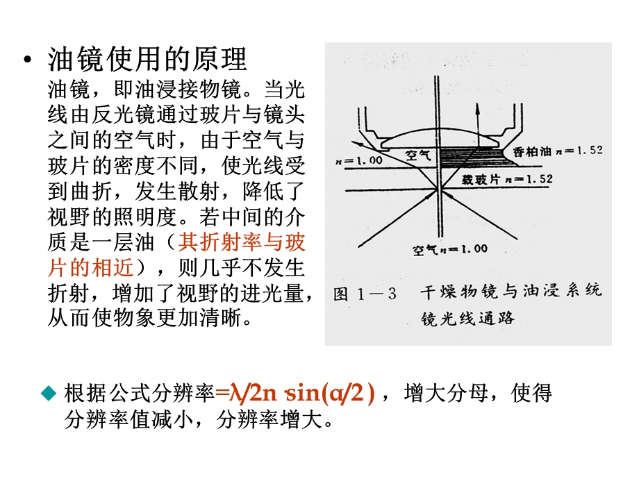 油镜的使用和细菌三型的观.ppt_第3页