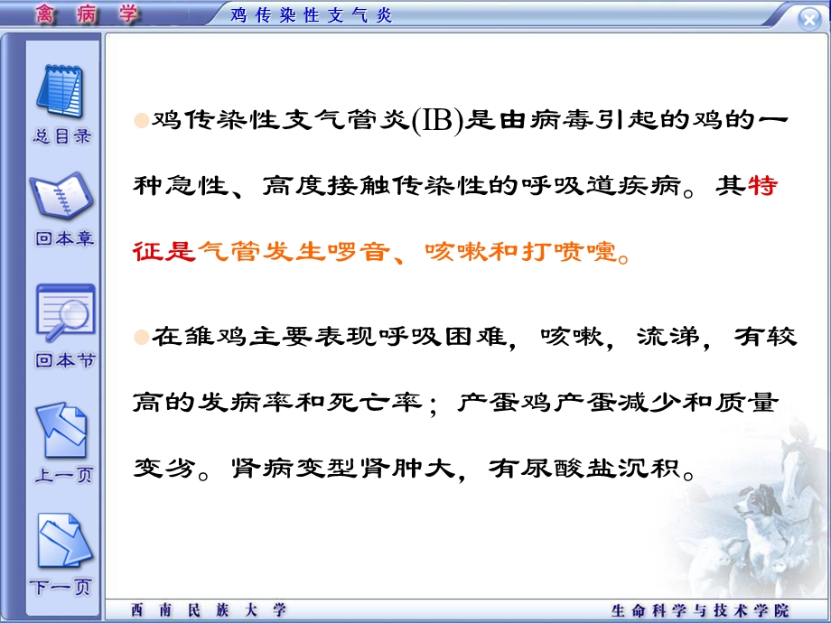 精品课程《禽病学》ppt06传染性支气管炎.ppt_第2页