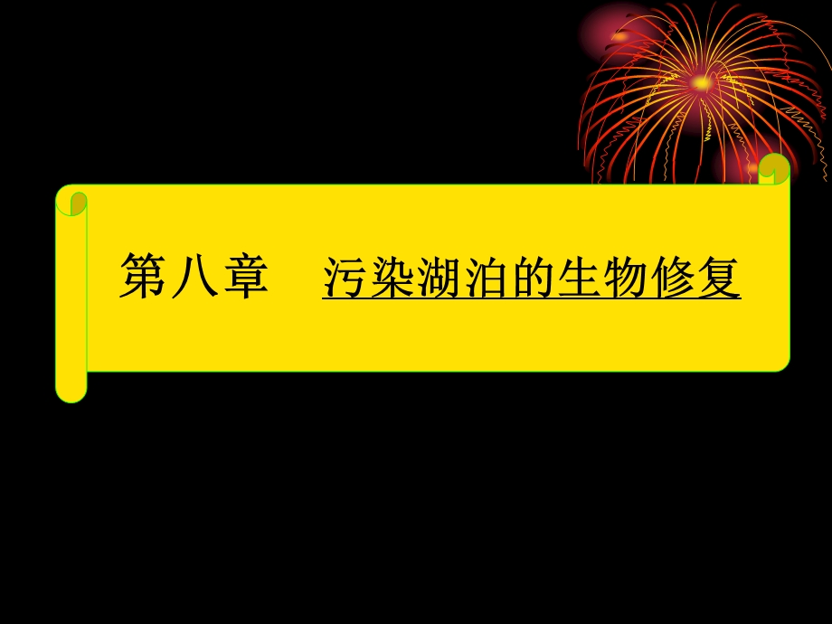 污染湖泊的生物修复污染环境生物修复工程.ppt_第1页