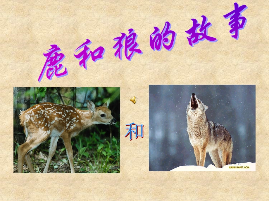 狼和鹿的故事Ppt.ppt_第1页