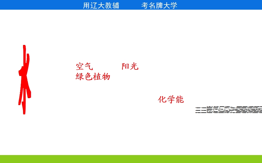 生态系统的结构功能.ppt_第3页