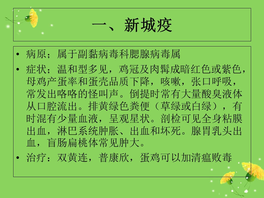 禽病-鸡病常见临床病症诊断.ppt_第2页