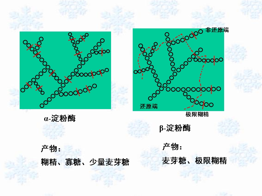 生物化学09糖代谢工.ppt_第3页