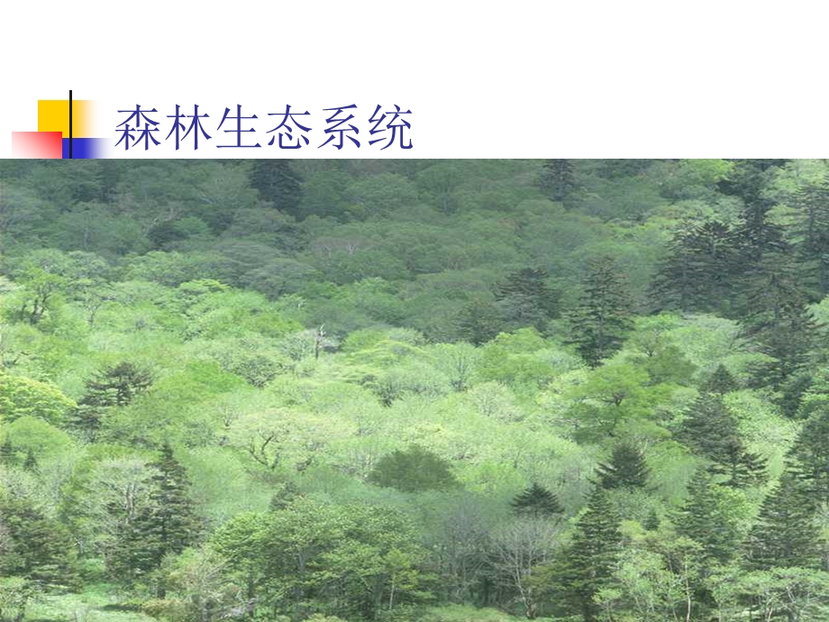 生物圈是最大生态系统.ppt_第2页