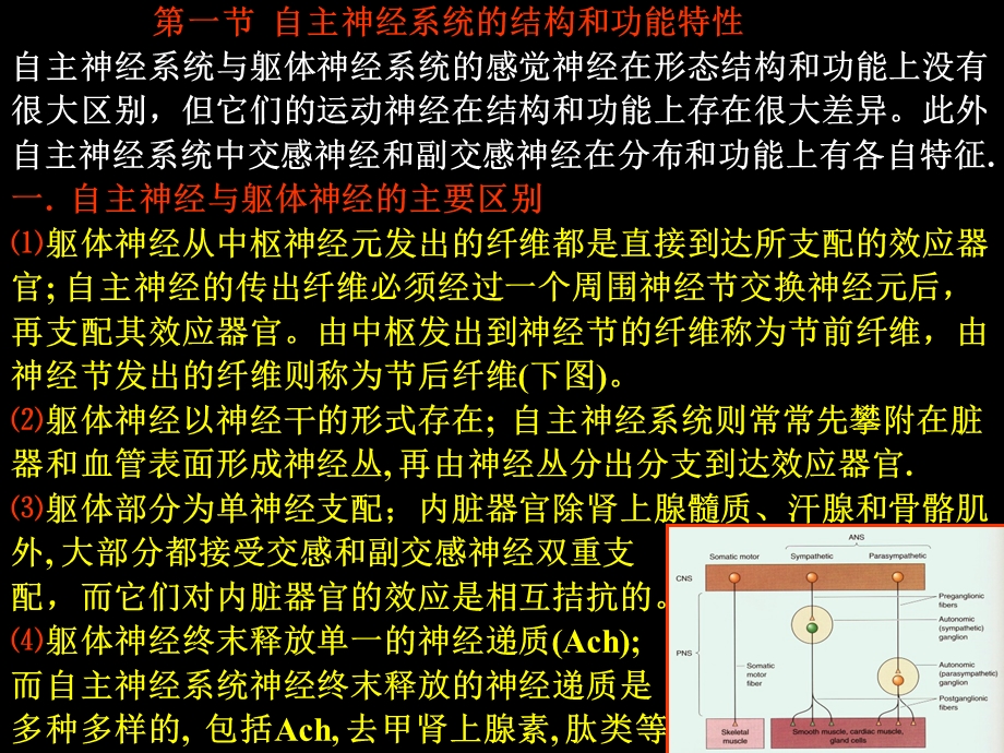 神经生物学十五十六.ppt_第3页