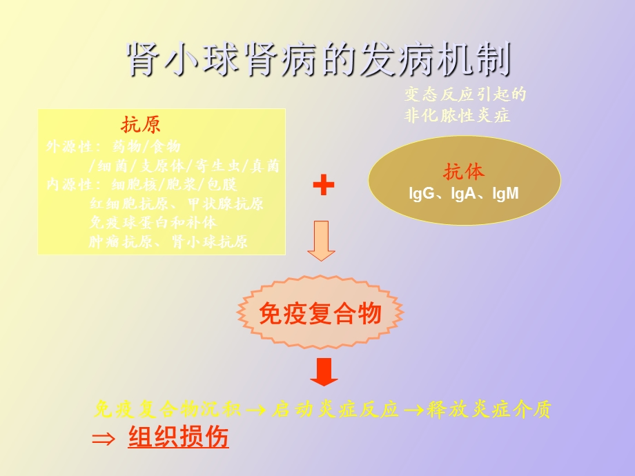 激素使用共识.ppt_第3页