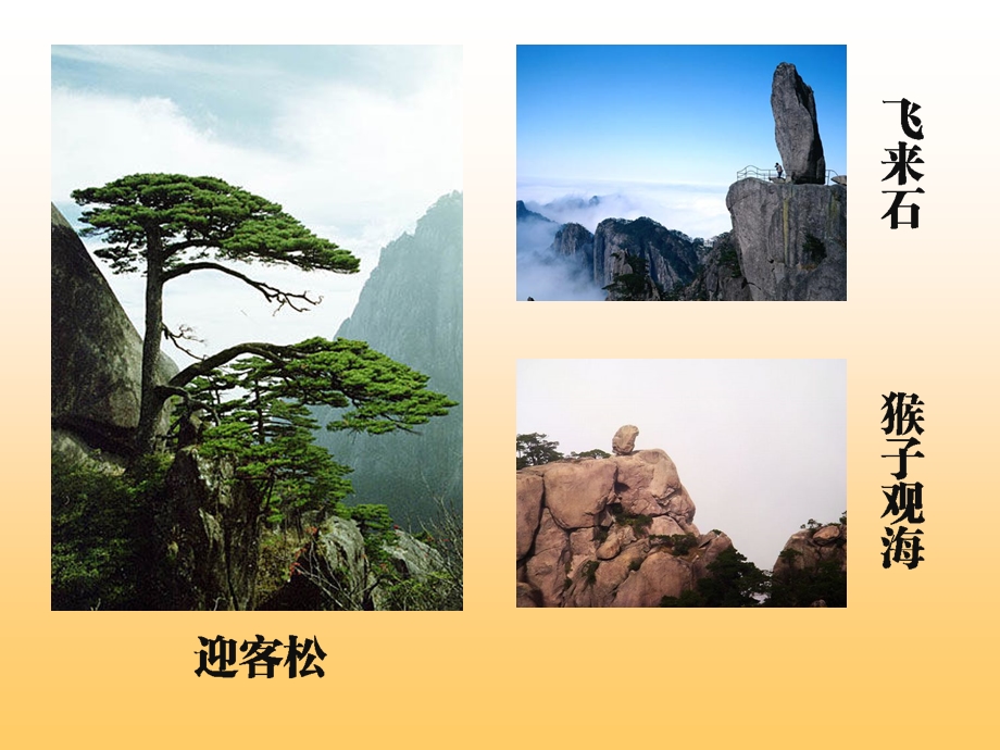 确定旅游路线(应韬).ppt_第2页