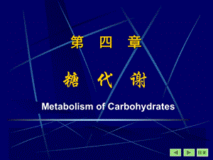 糖的化学：分解与合成代谢.ppt