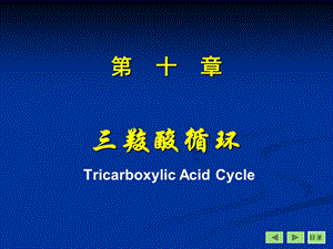 生物化学与分子生物学八年制课件.ppt