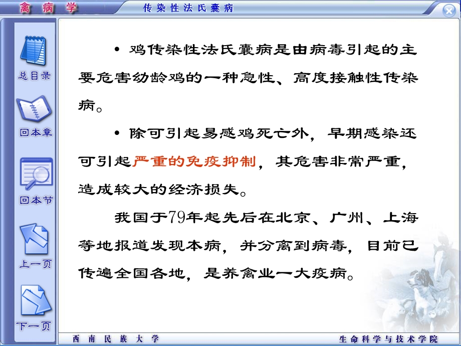 精品课程《禽病学》ppt04鸡传染性法氏囊病.ppt_第2页