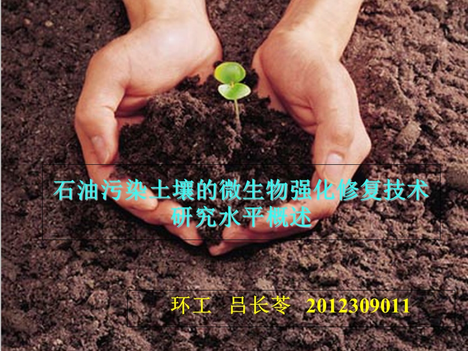 石油污染土壤的微生物强化修复技术研究水平概述.ppt_第1页