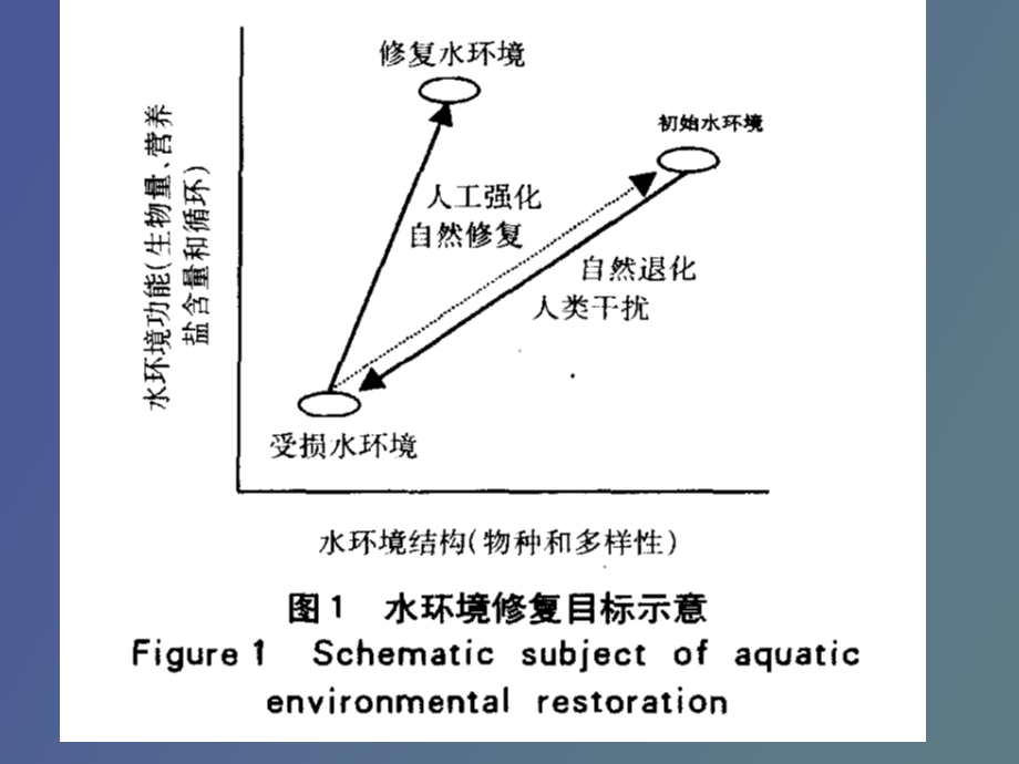 水体修复技术.ppt_第3页