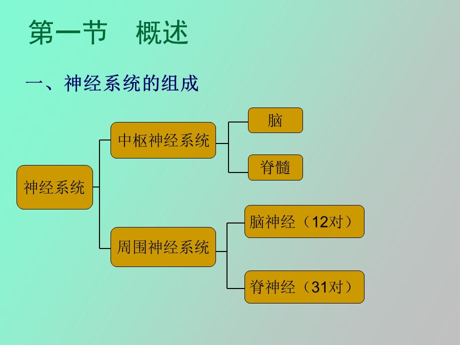 神经系统研究.ppt_第2页