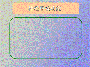 神经系统功能.ppt