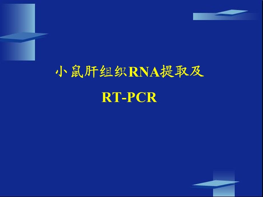 生化实验课件小鼠肝组织rna提取及rt-pcr实验.ppt_第1页