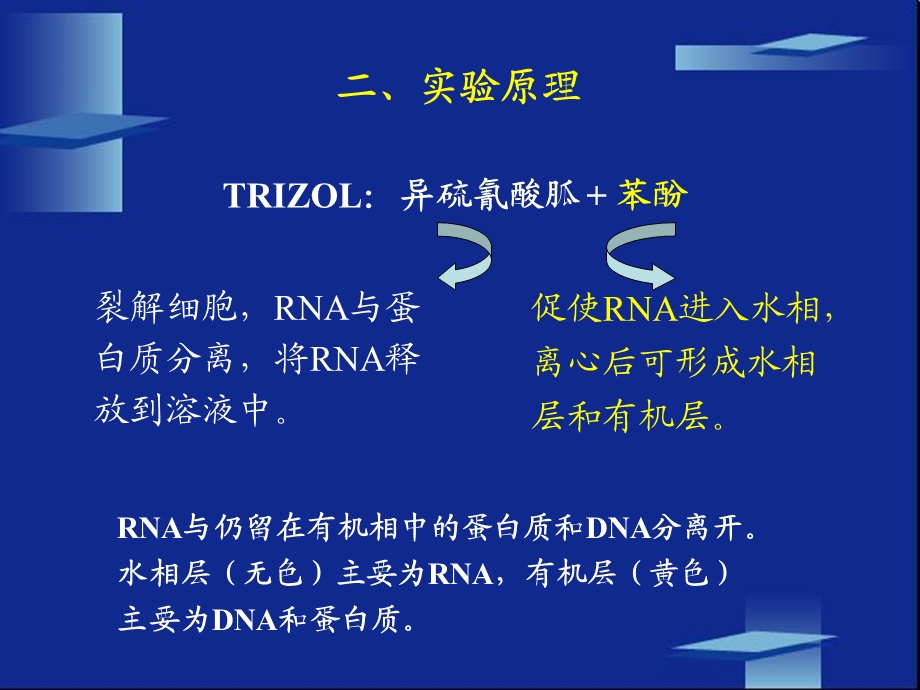 生化实验课件小鼠肝组织rna提取及rt-pcr实验.ppt_第3页