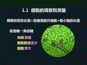 生命科学的基础实验.ppt