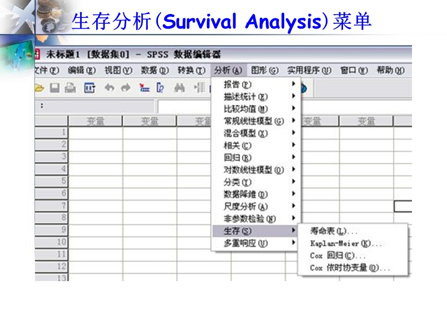 生存分析SPSS单因素和多因素对生存率的可能分析.ppt_第3页