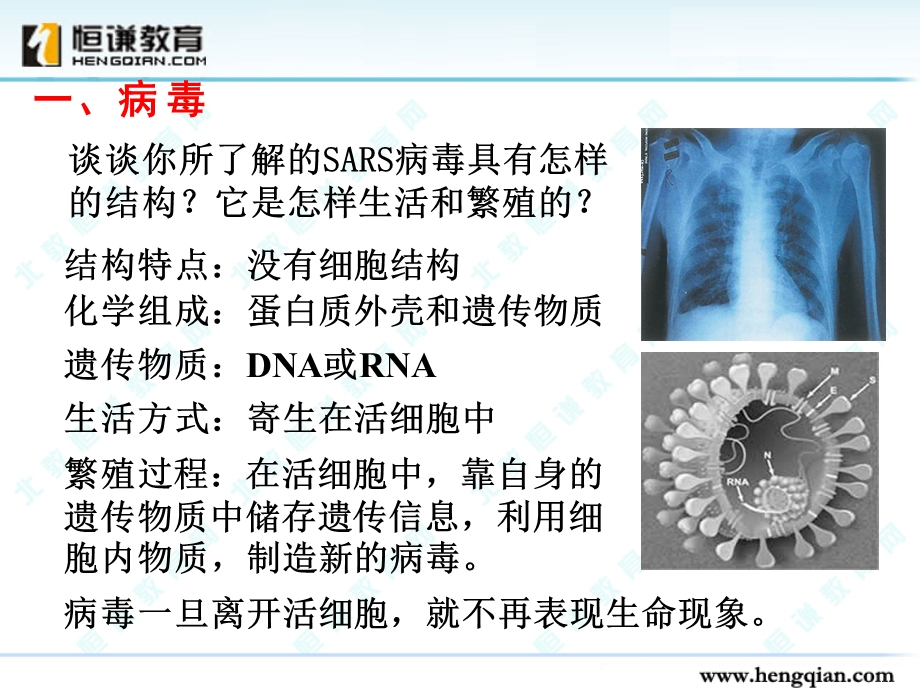 生物必修一全套课件一.ppt_第3页