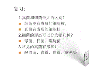 生物上册551细菌和真菌在自然界中的作用课件人教.ppt