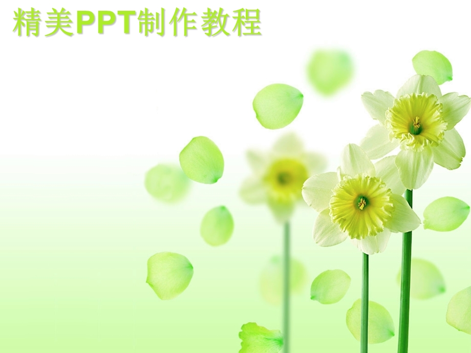 精美ppt制作教程.ppt_第1页