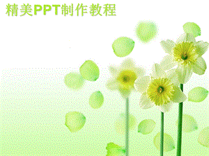 精美ppt制作教程.ppt