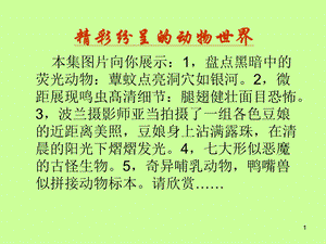 精彩纷呈的动物世界.ppt