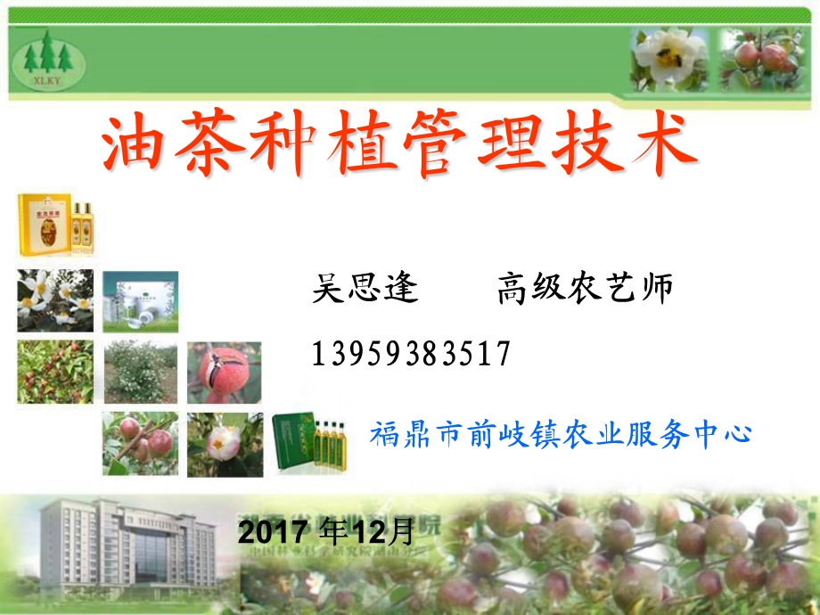 油茶种植与抚育管理技术精品课件.ppt_第1页